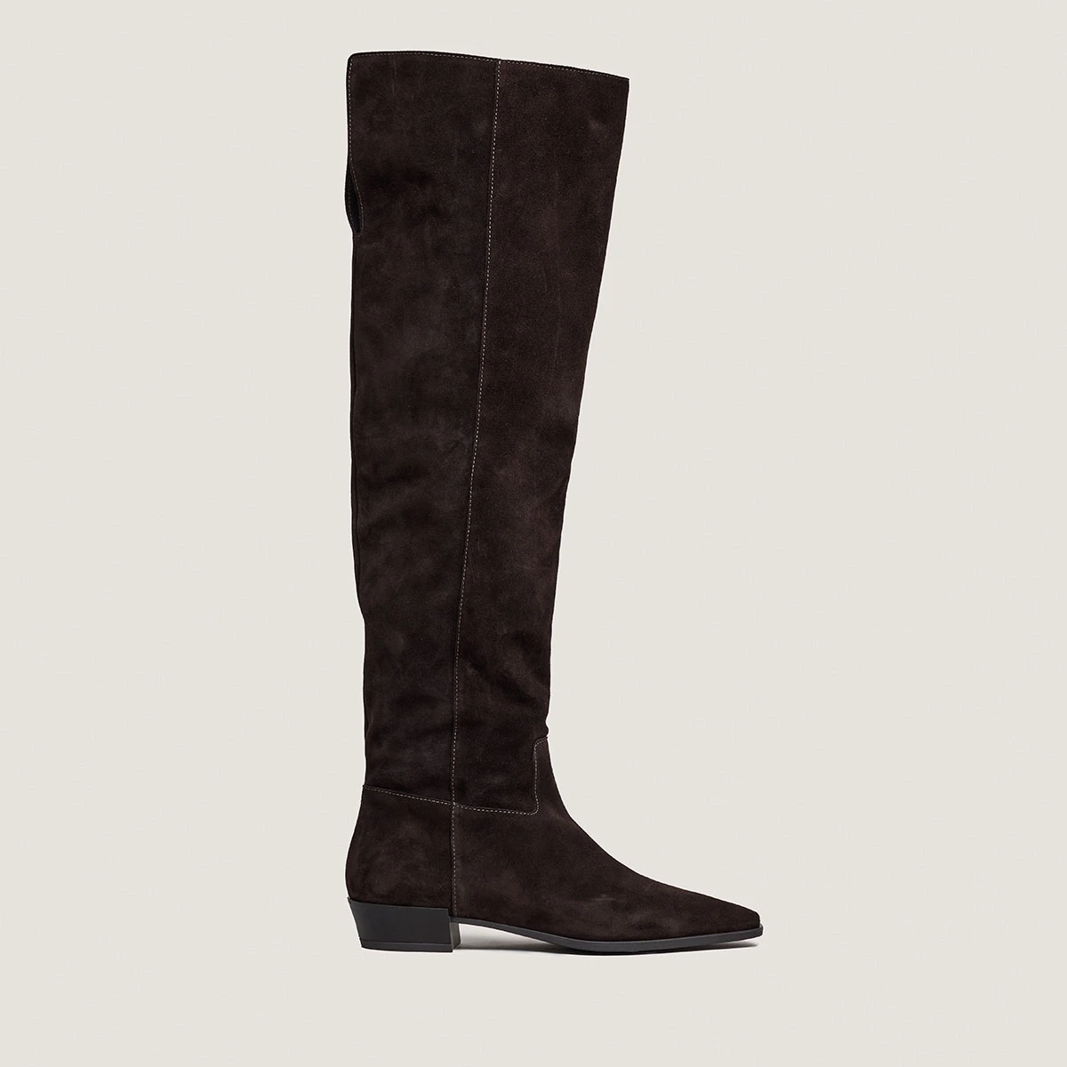 Pointed-toe boots in dark brown suede | PAPILLON