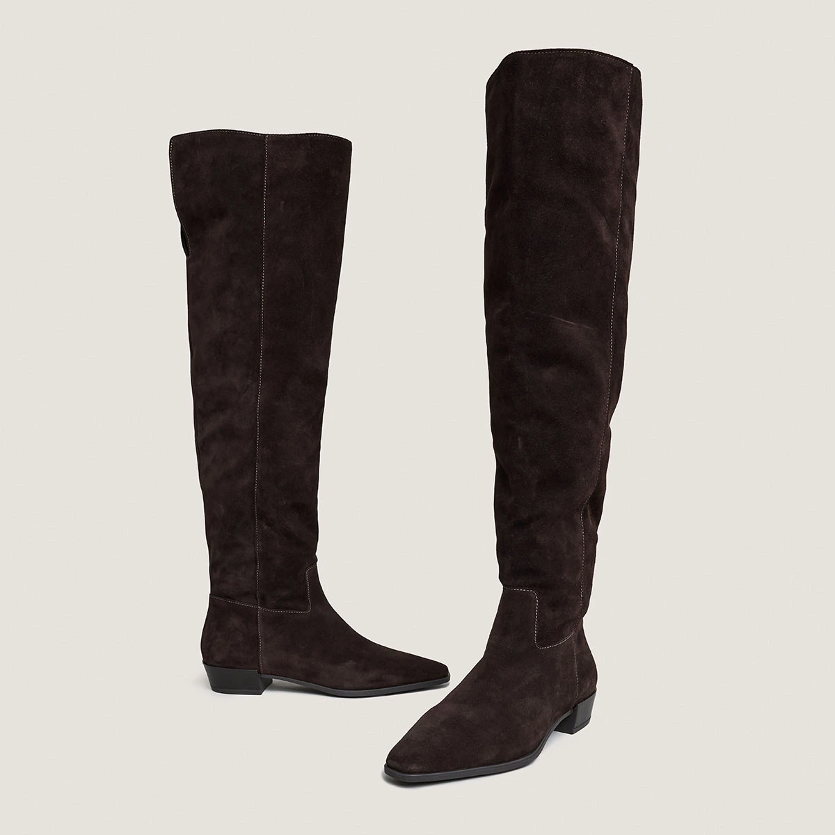 Pointed-toe boots in dark brown suede | PAPILLON