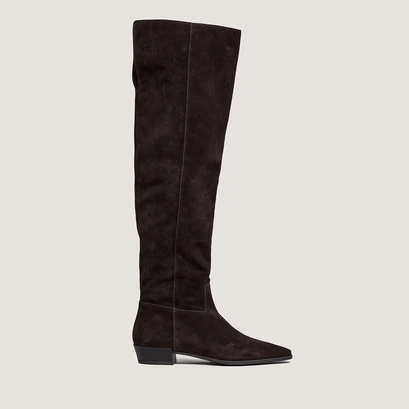Pointed-toe boots in dark brown suede | papillon