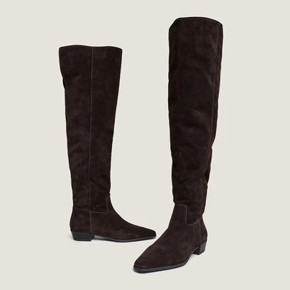 Pointed-toe boots in dark brown suede | papillon