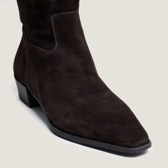 Pointed-toe boots in dark brown suede | PAPILLON