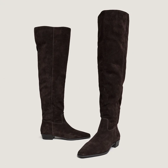 Pointed-toe boots in dark brown suede | PAPILLON